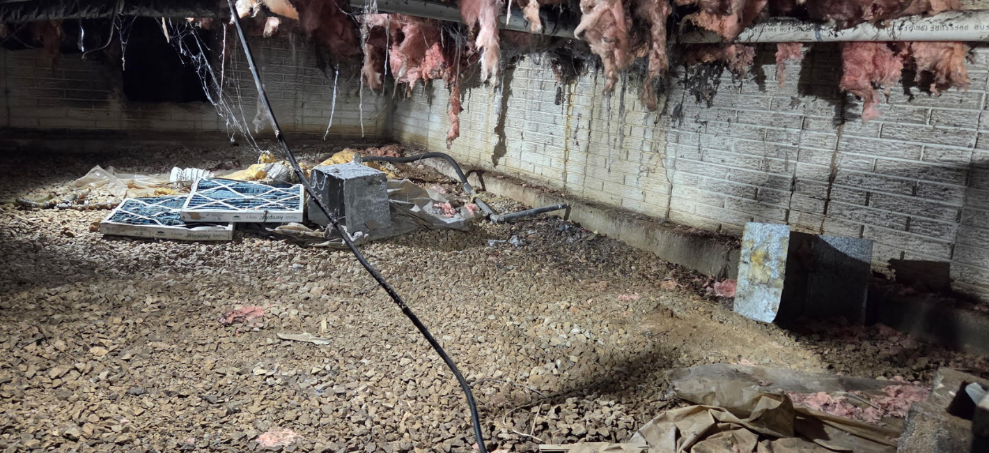 Damp, moldy crawlspace