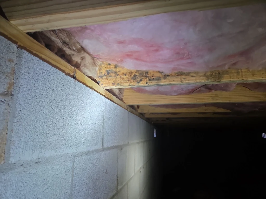 Surface mold growth on subfloor framing joists along foundation wall